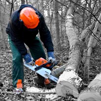 20230208-2023-02-08 09-02-25