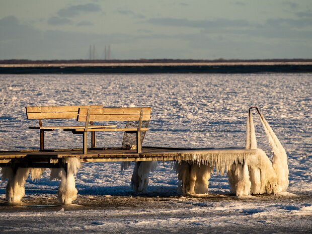 Billeder vis i fotoklub Billeder vis i fotoklub