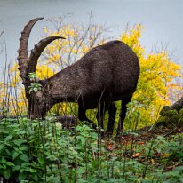 2025-10-25 14-51-09-2