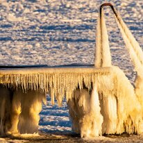 2026-02-03 16-32-59 - 0038_DxO