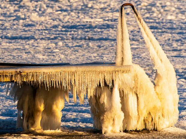 Billeder vis i fotoklub